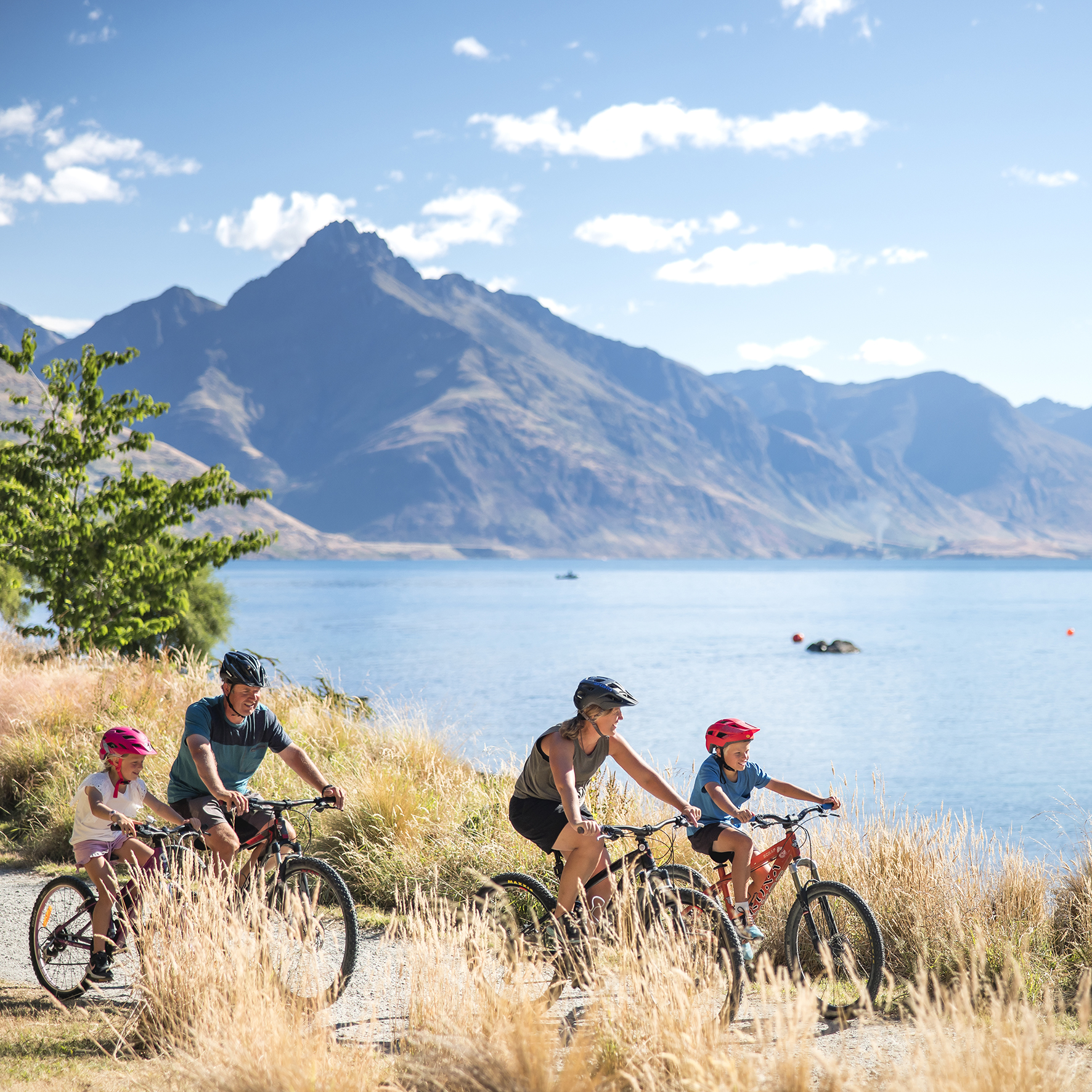 516553-biking-queenstown-gardens.jpg